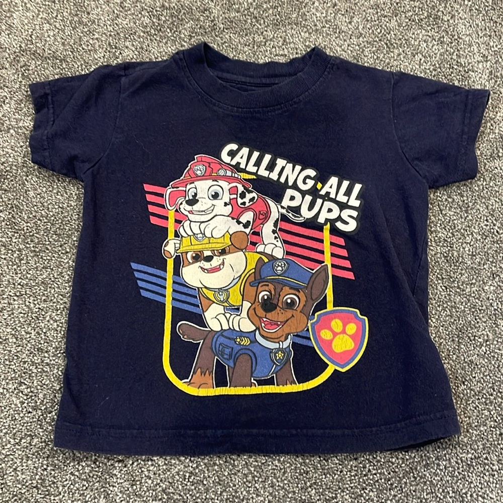 3T Paw Patrol